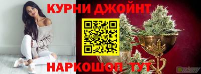 мдпв Новокубанск