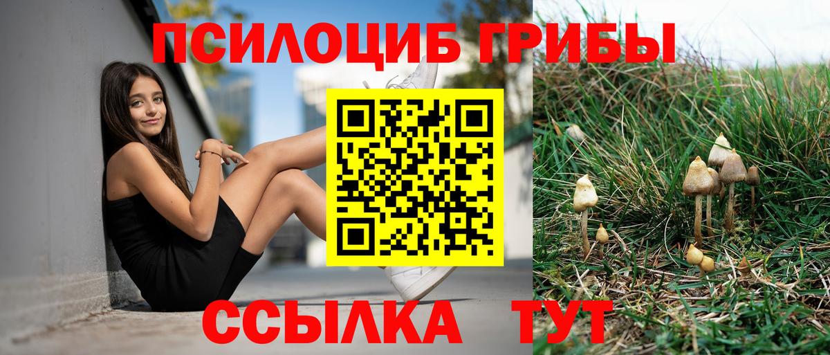 Псилоцибиновые грибы мухоморы  что такое наркотик  Торжок  Псилоцибиновые грибы мухоморы  Вход с VPN 